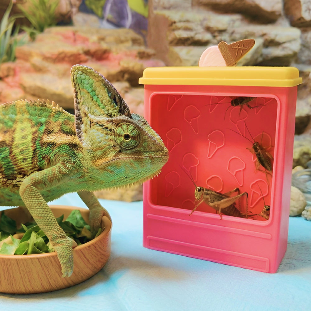 Reptile Feeder Box Ice Cream Shop – Natural Feeding Hide, Snap Fit for Bearded Dragon & Gecko