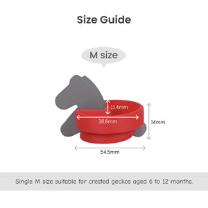 Reptile Seesaw Shelter + Horse-shaped Reptile Bowl