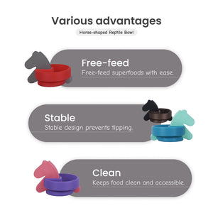 Reptile Seesaw Shelter + Horse-shaped Reptile Bowl