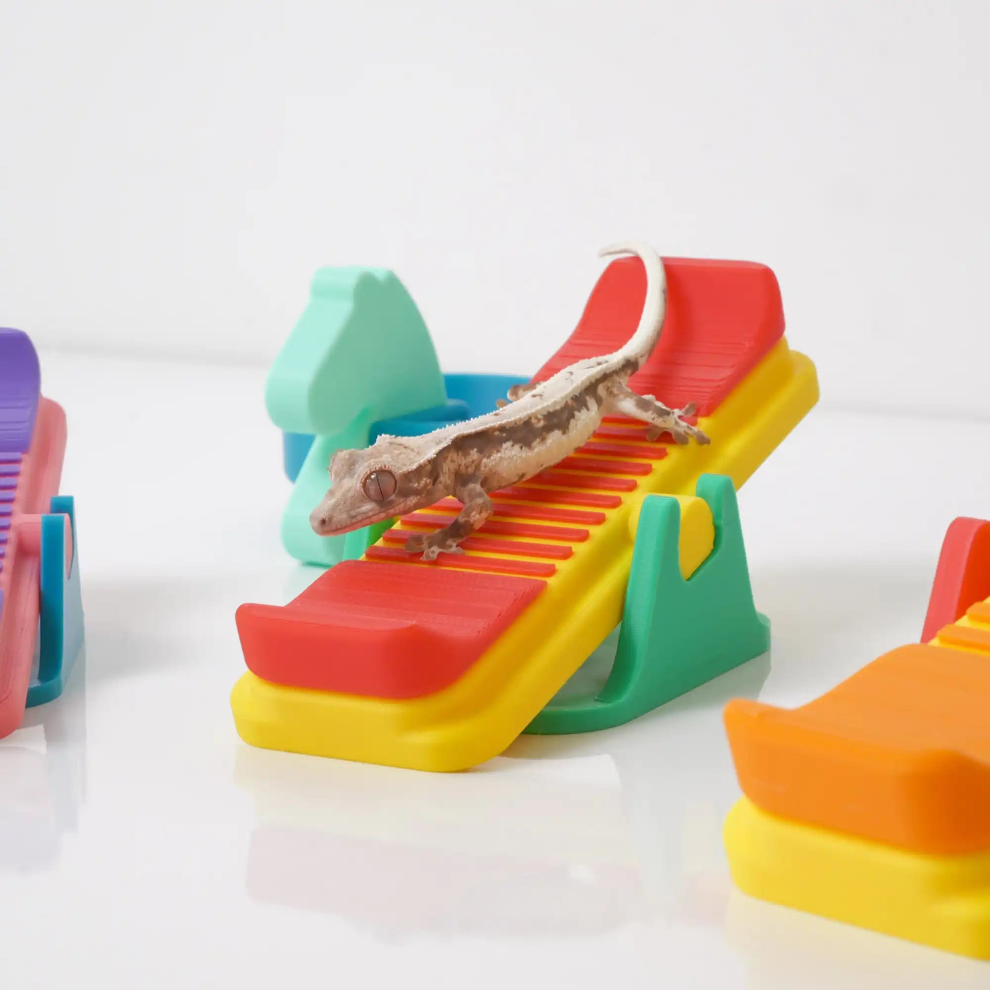 A crested gecko on a colorful miniature plastic lounge chair.